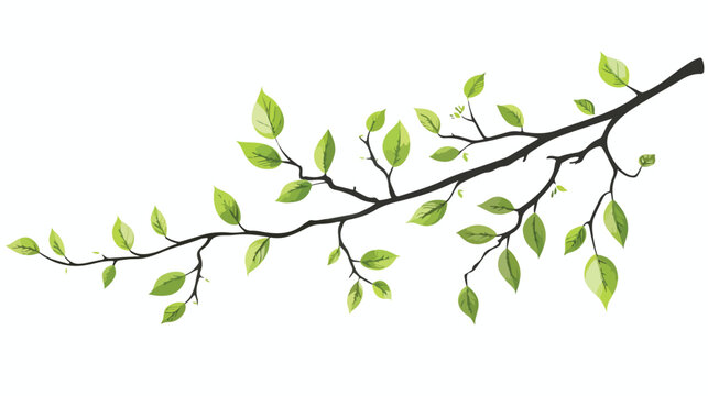 Branch leaves stem bloom image flat vector isolated on