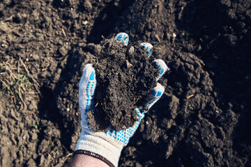 Farmer agronomist holding a clod of earth, closeup of male hand with soil sample from agricultural field