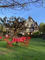 Historisches Dreigiebelhaus in Kröv an der Mosel / Tische und Stühle im Garten bei Straußenwirtschaft Im Frühling - 780312499