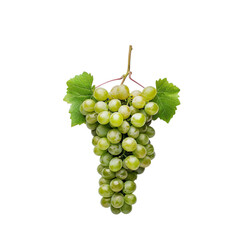 Obraz premium Fresh Green Grapes Bunch