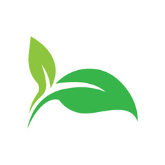 fresh leaf logo design for natural life