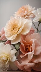Obraz na płótnie Canvas Elegant peach peonies in full bloom