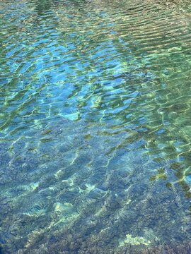 Rippled clear sea water with seaweed.