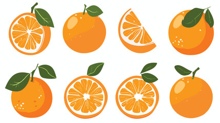 Cute Orange Fruit Vector Decoration Editable for all