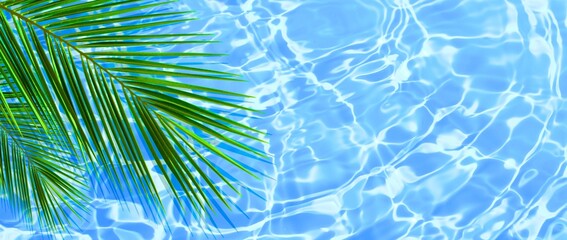 Concept of summer or holiday background with green palm leaf on blue water surface. Tropical coconut palm leaves on blue water texture with reflection of sun. Summer beach vacation background concept