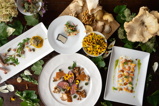 Foraged ingredients arranged in a display overhead looking down