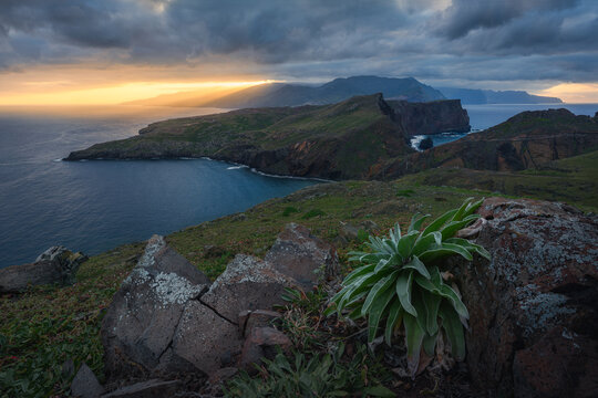 Stormy Sunset at Ponta de Sao Lourenco, Madeira - Endemic Plant
