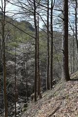 Climbing Mt. Ogura, Nagano, Japan