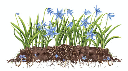 General view of Siberian squill or Scilla siberica - obrazy, fototapety, plakaty