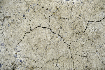 Dry and cracked land - 780338624