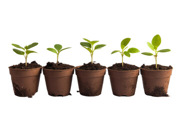 Row of Small Pots Filled With Plants. On a White or Clear Surface PNG Transparent Background.