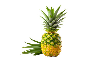 Pineapple on White Background. On a White or Clear Surface PNG Transparent Background.