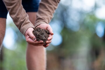 soil scientist agronomist farmer looking at soil samples and grass in a field in spring. looking at growth of plants and soil health