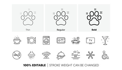 Wi-Fi, Air conditioning and Washing machine. Hotel service line icons. Pets, swimming pool and hotel parking icons. Linear set. Line icons set. Vector
