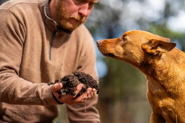 farmer and working farm kelpie dog taking soil samples and looking at soil structure. friends work...