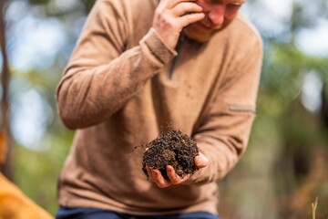 agronomist on a farm practicing agronomy holding soil, doing soil tests in her home laboratory. Looking at soil life and health