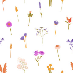 Repeatable pattern of wildflowers: stems of tansies, gypsophila. Wild blossom plants, meadow flowers. Botanical endless background with dry bloom grass. Floral flat seamless vector illustration
