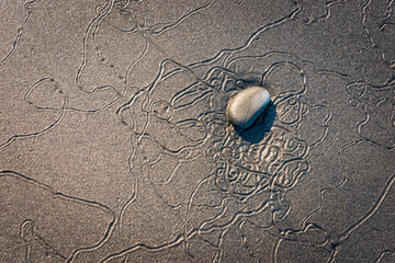 Closeup Texture of Rocks Along the Coastline at Ruby Beach in Olympic National Park, Washington...