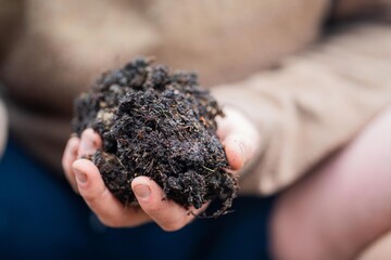 Compost pile, organic thermophilic compost turning in Tasmania Australia, holding soil.