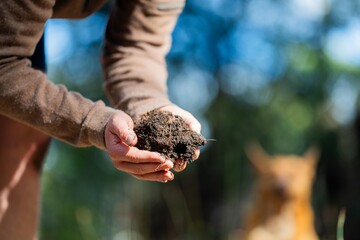 farmer hold soil in hands monitoring soil health on a farm. conducting soil tests