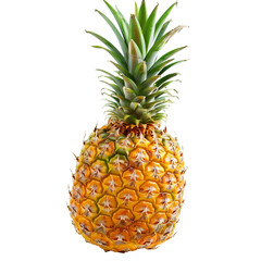 Fresh pineapple on a transparent background, fruit