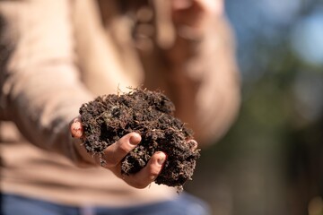 university student conducting research on forest health. farmer collecting soil samples in a test tube in a field. Agronomist checking soil carbon and plant health on a farm