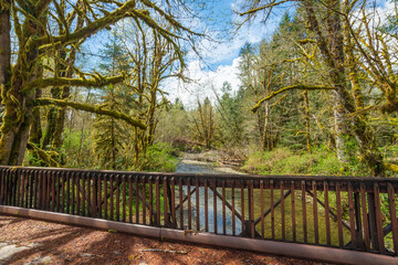 Fototapeta premium The Historic Kestner Homestead farm in the Quinault Rain Forest area of Olympic National Park, Washington State
