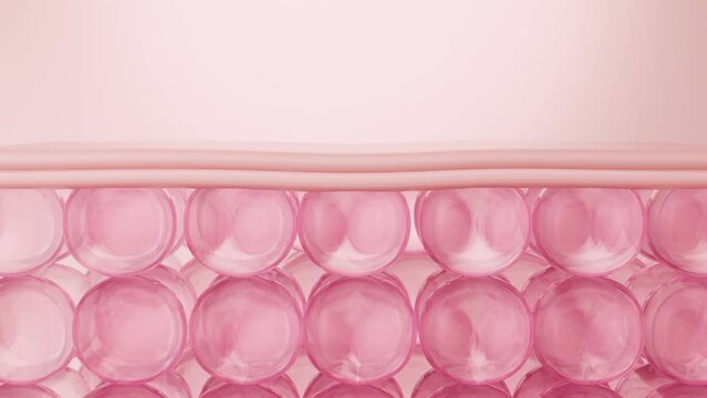 Serum molecule penetrates, lifts collagen, erases wrinkles