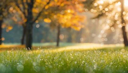 Naklejka na ściany i meble Radiant Reverie: Sunrise Glow Enhancing Dew Drops on Green Lawn