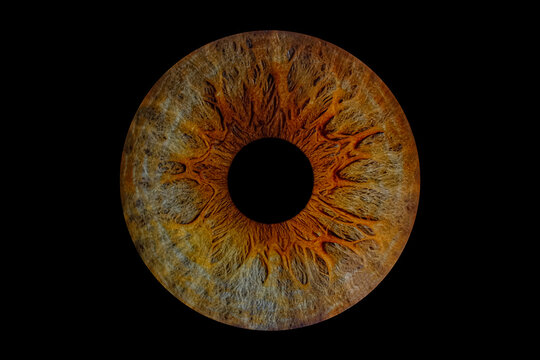 Close up of eye iris on black background, macro, photography