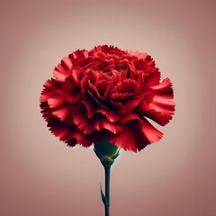 Realistic carnation for portugal liberation day.