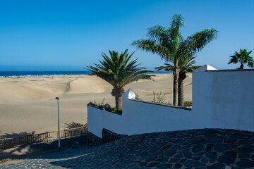 Wall and palm trees on the way to the sea, with sandy beach - 780359213