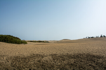 Sand dune and blue sky - 780359239