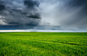 Dark clouds before a hurricane over a green field.