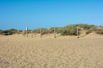 Sand dune with a fence to protect the dunes - 780359463