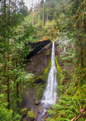 The Marymere Falls Trail in Olympic National Park