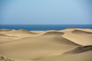 Sand dunes by the sea - 780359696