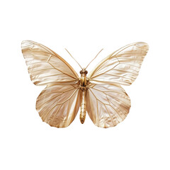 A close up of a butterfly with a Transparent Background