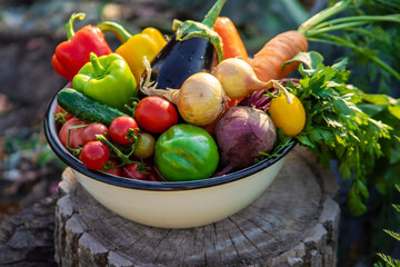vegetables in a bowl on a hemp. Bio healthy food. Organic vegetables