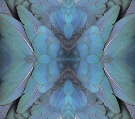 beautiful abstract visual blue shimmering duck feathers mirrored to form a mosaic pattern