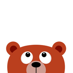 Bear grizzly head looking up. Big eyes. Funny face. Cute cartoon kawaii baby character. Forest animal collection. Childish style. Flat design. White background. Isolated. Vector