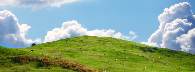Blue sky, landscape and hill on farm for nature in field, travel or agriculture with...