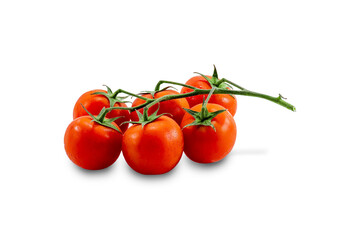 group of six ripe red tomatoes on a branch, on a white background isolate