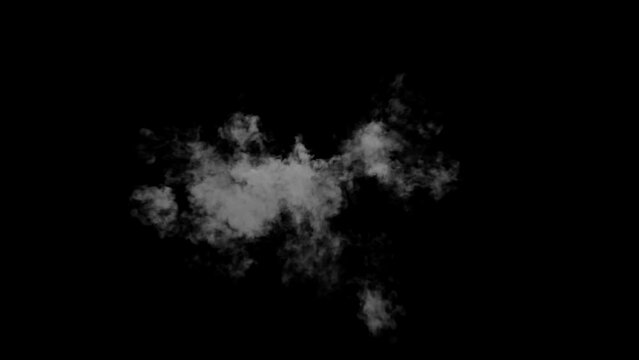 Animation video of an explosion of fire elements that turns into branching smoke