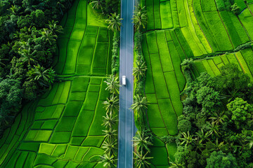 car drives along a long paved road that passes through green fields - obrazy, fototapety, plakaty