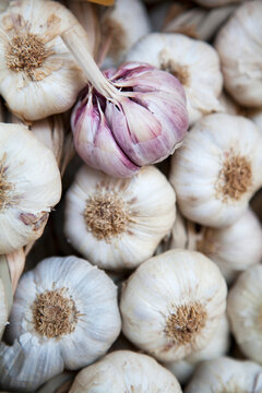 A detailed close-up shot capturing the texture and patterns of a bunch of garlic bulbs, showcasing natural organic food