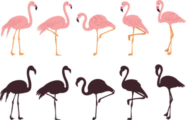 pink flamingo set in flat style on white background vector - 780374020