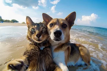 Fotobehang Dog taking selfie with his cat friend at the beach © Sardar