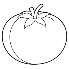 Tomato Line Art Vector