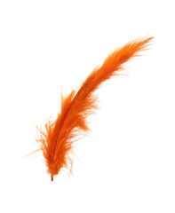 Fluffy beautiful orange feather isolated on white